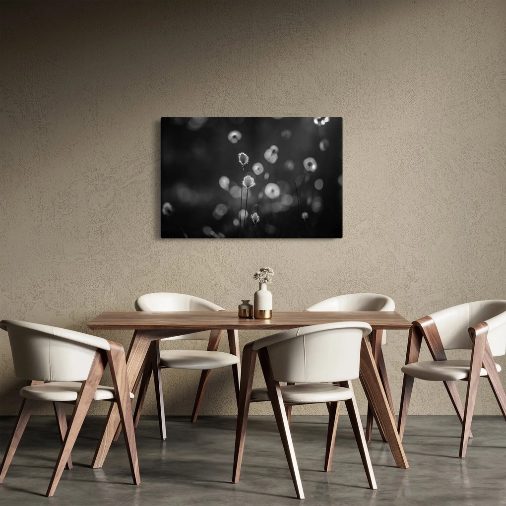 Obraz - Cottongrass na lúke (90x60 cm)