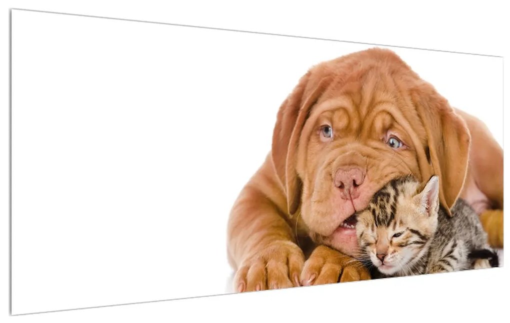 Obraz psa s mačiatkom (120x50 cm)