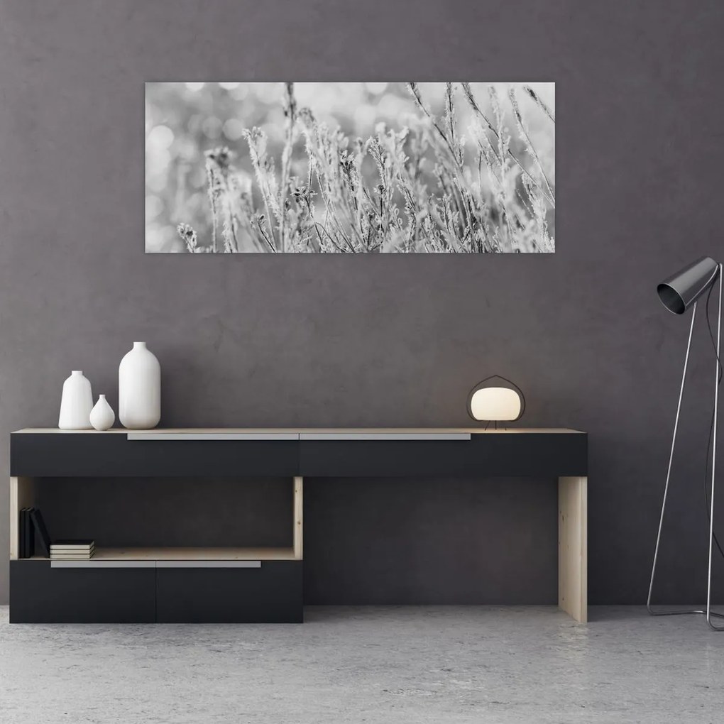 Obraz - Chladná zima (120x50 cm)