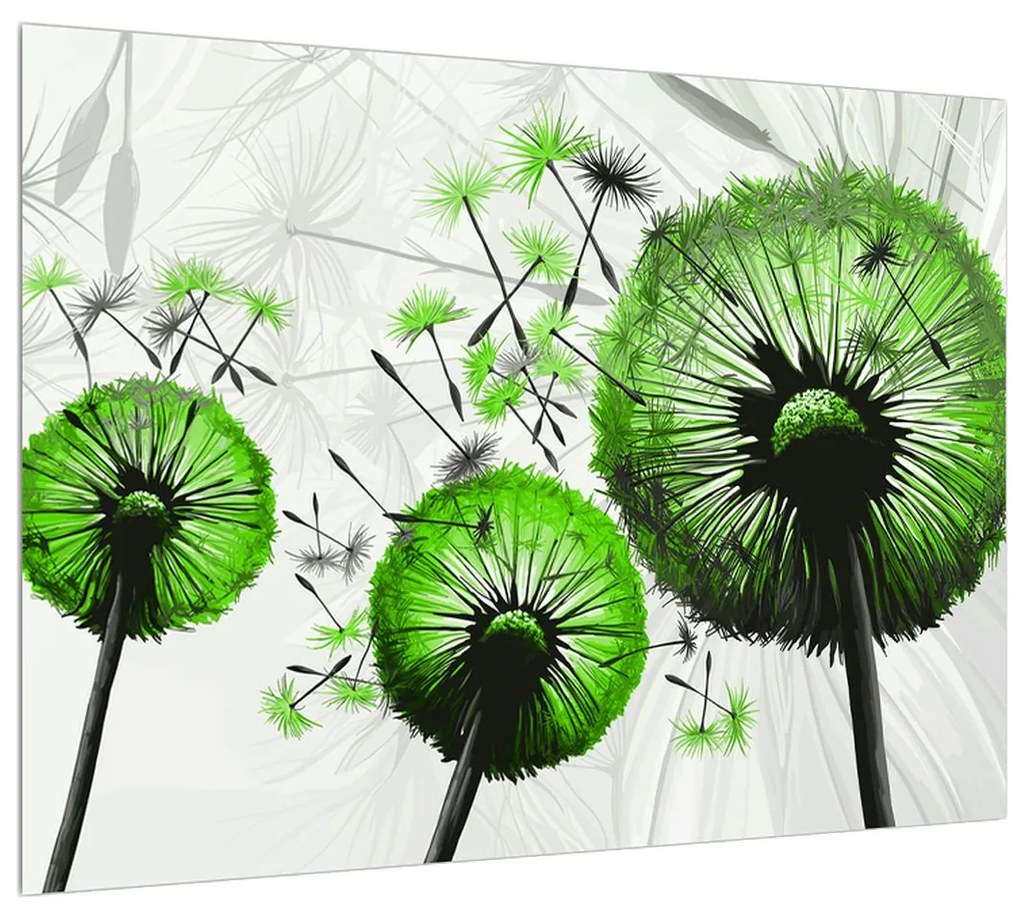 Obraz páperia zelených púpav (70x50 cm)