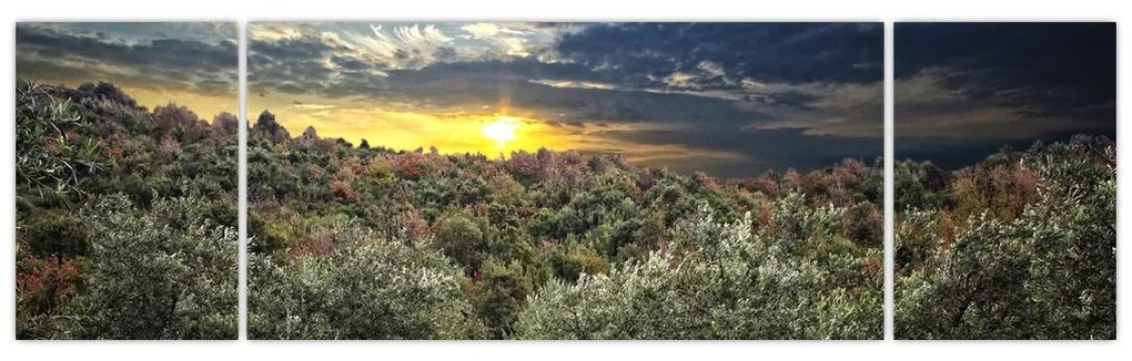 Obraz - zelený sád