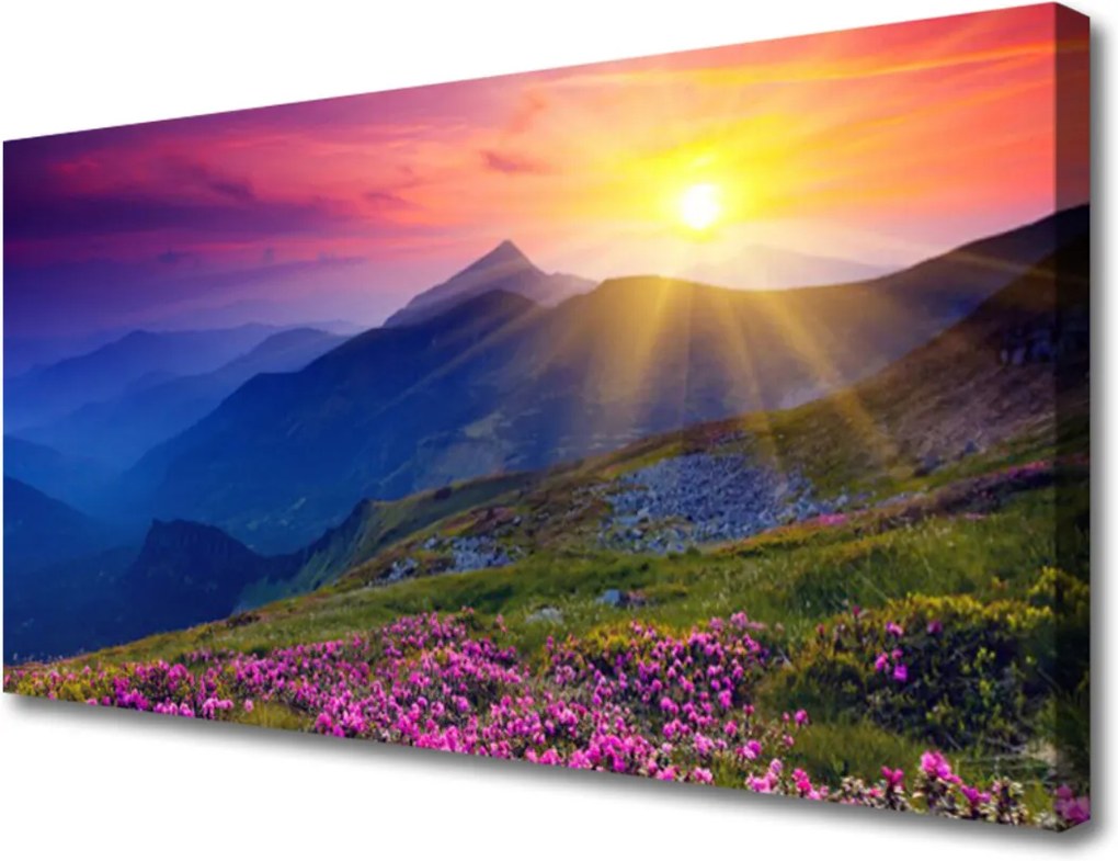 Obraz na plátně Hory květ louka krajina