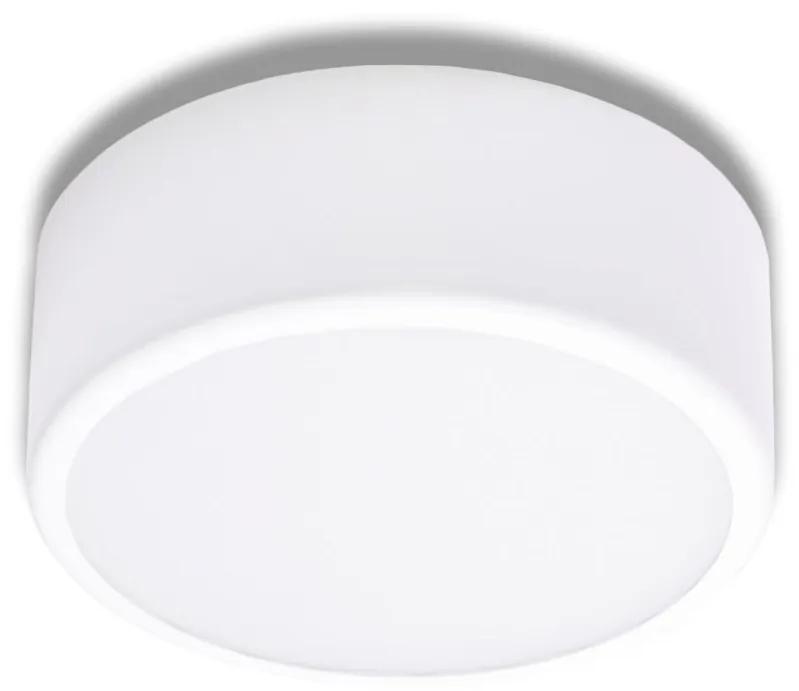 TEMAR Prisadené nástenné / stropné osvetlenie CLEO, 1xE27, 60W, 20cm, okrúhle, biele