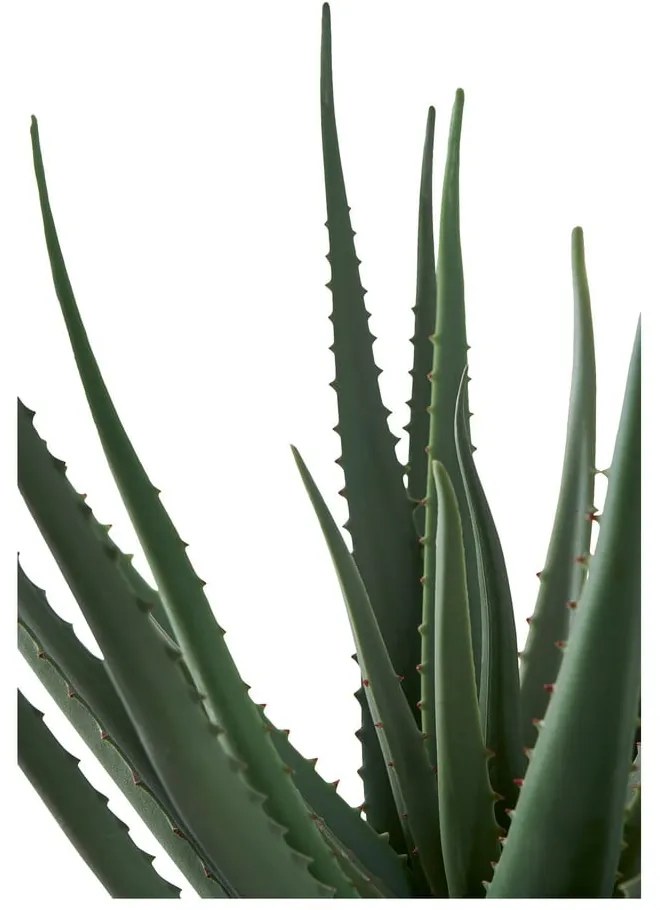 Umelá rastlina (výška 51 cm) Aloe Vera – House Nordic