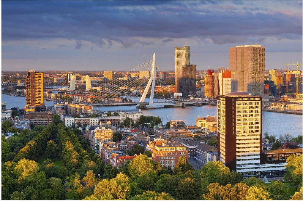 Obraz - Panorama Rotterdamu, Holandsko (90x60 cm)
