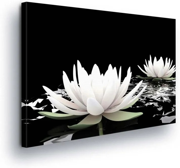 GLIX Obraz na plátne - Black and White Water Lily II 100x75 cm