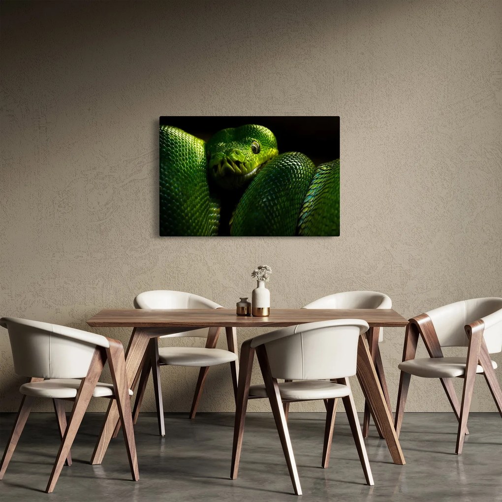 Obraz - Zelený had (90x60 cm)