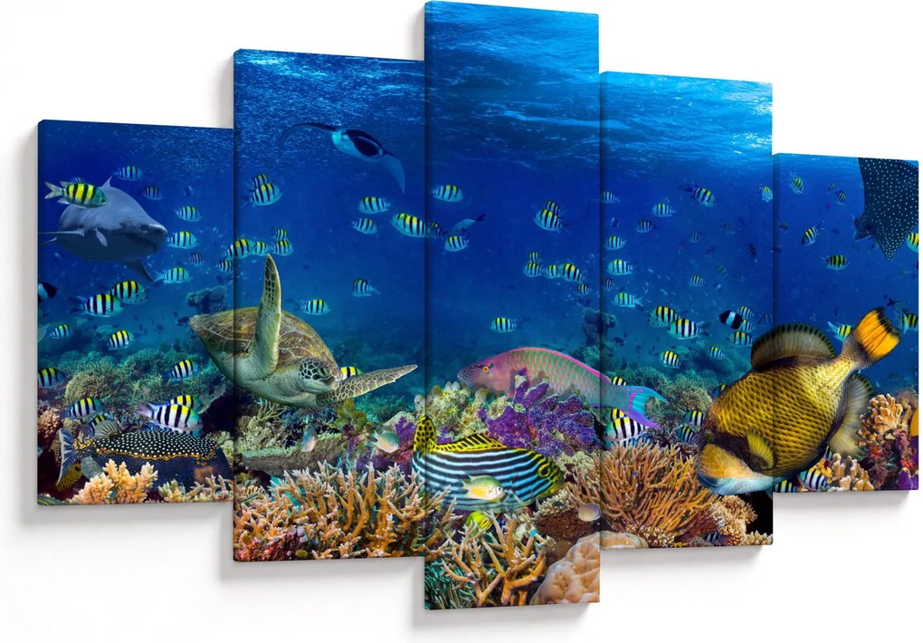 Obraz - Oceán (150x105 cm)