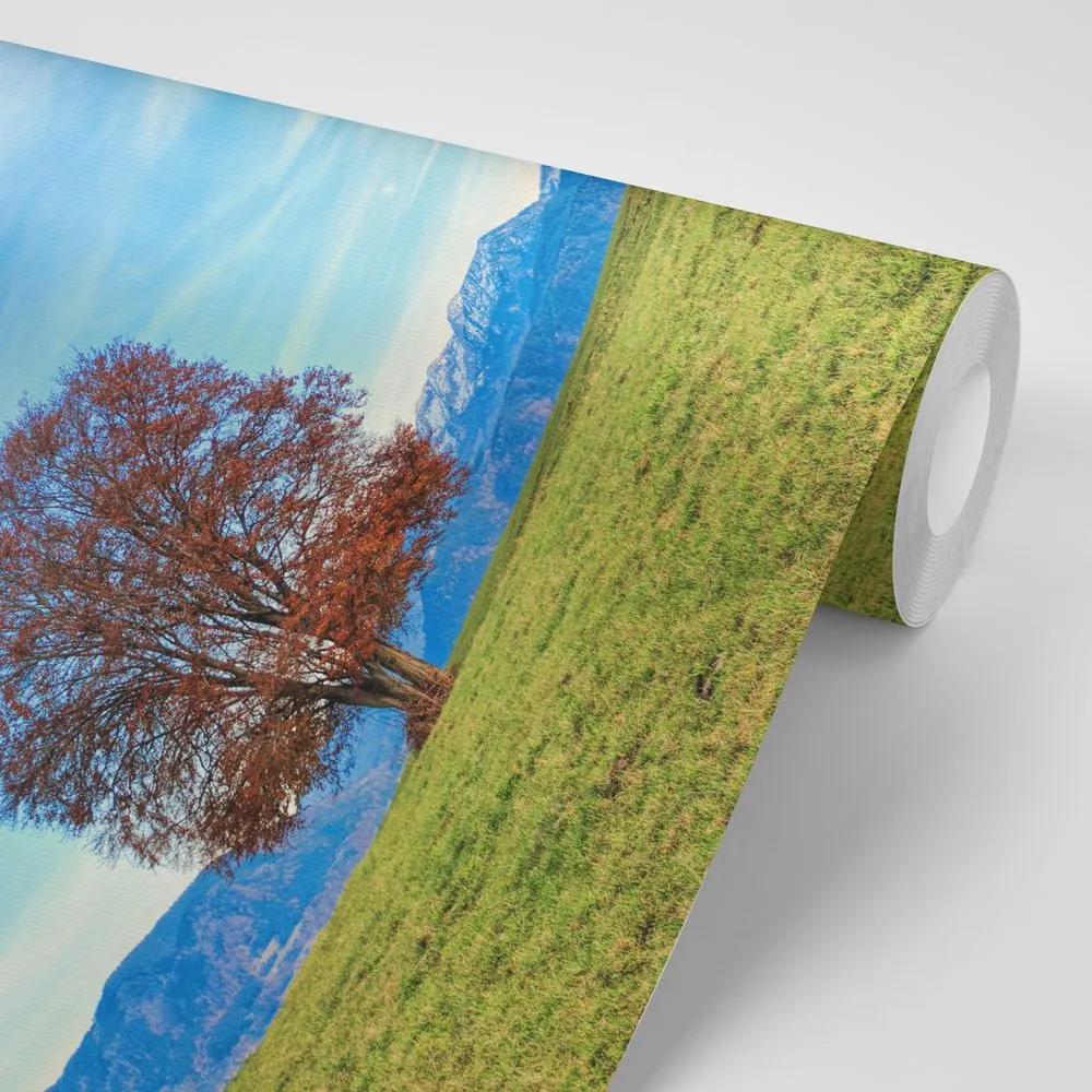 Samolepiaca fototapeta strom s panorámou pohoria