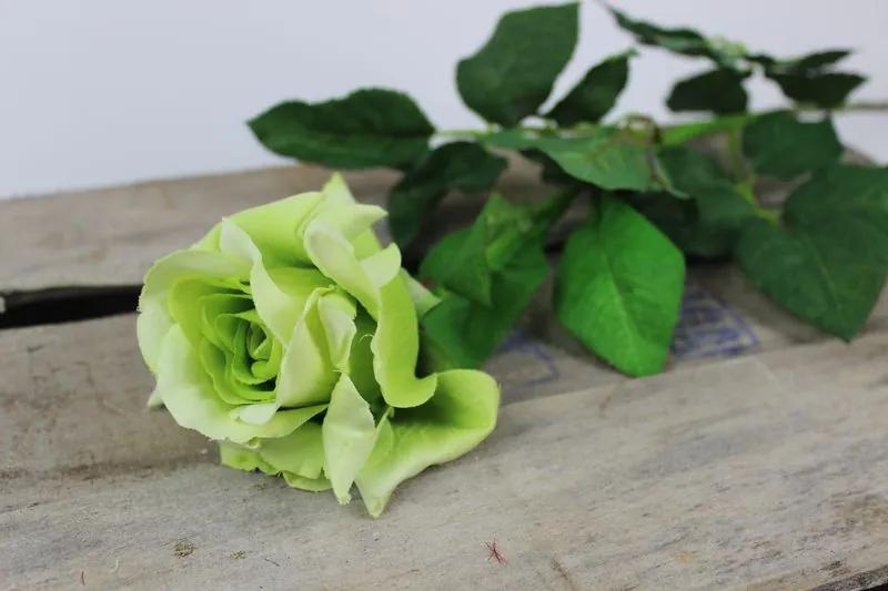 Zelená rozkvitnutá ruža 70 cm