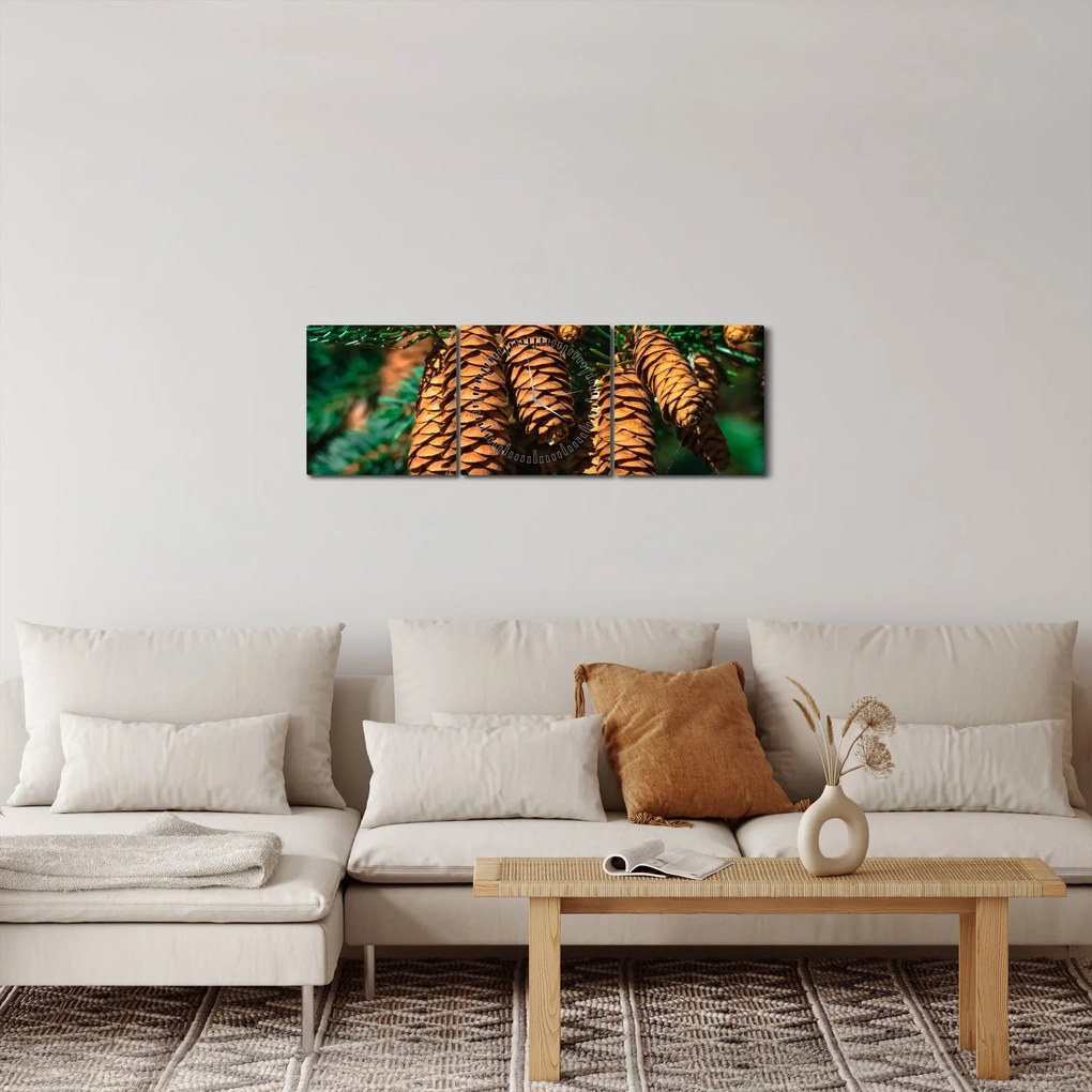 Obraz šišiek (s hodinami) (90x30 cm)