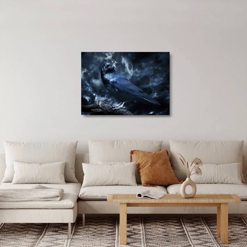 Sklenený obraz - Havran (70x50 cm)