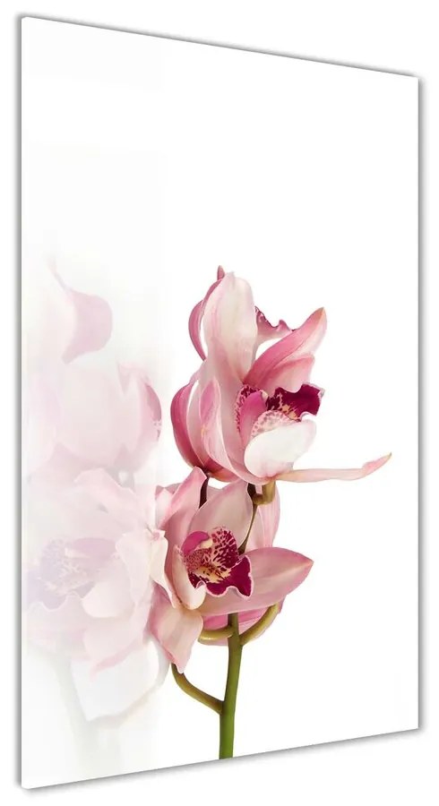 Foto obraz akrylové sklo Ružová orchidea pl-oa-70x140-f-18886978