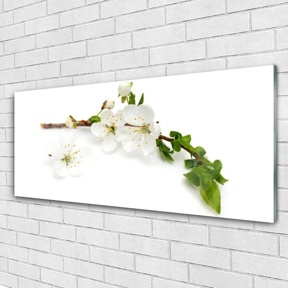 Obraz na akrylátovom skle Kvet vetva príroda 125x50 cm