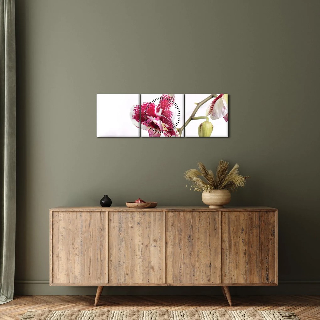 Obraz kvetu orchidey (s hodinami) (90x30 cm)