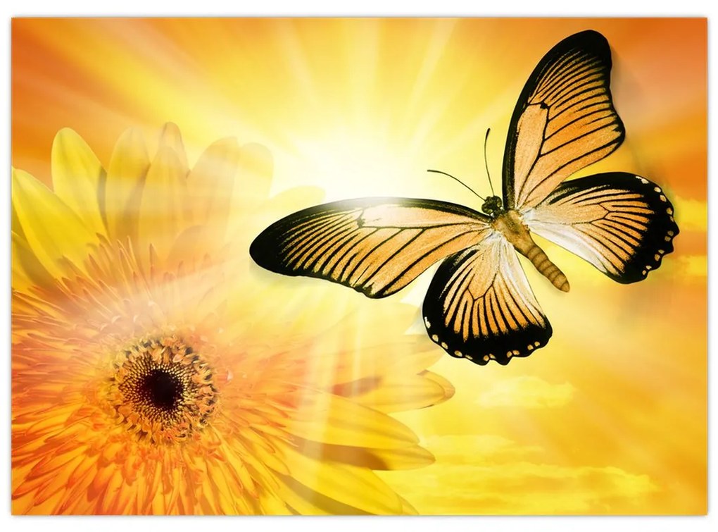 Obraz - Žltý motýľ s kvetom (70x50 cm)