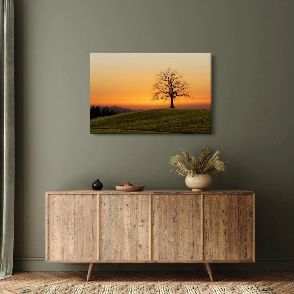 Obraz západu slnka na lúke (90x60 cm)