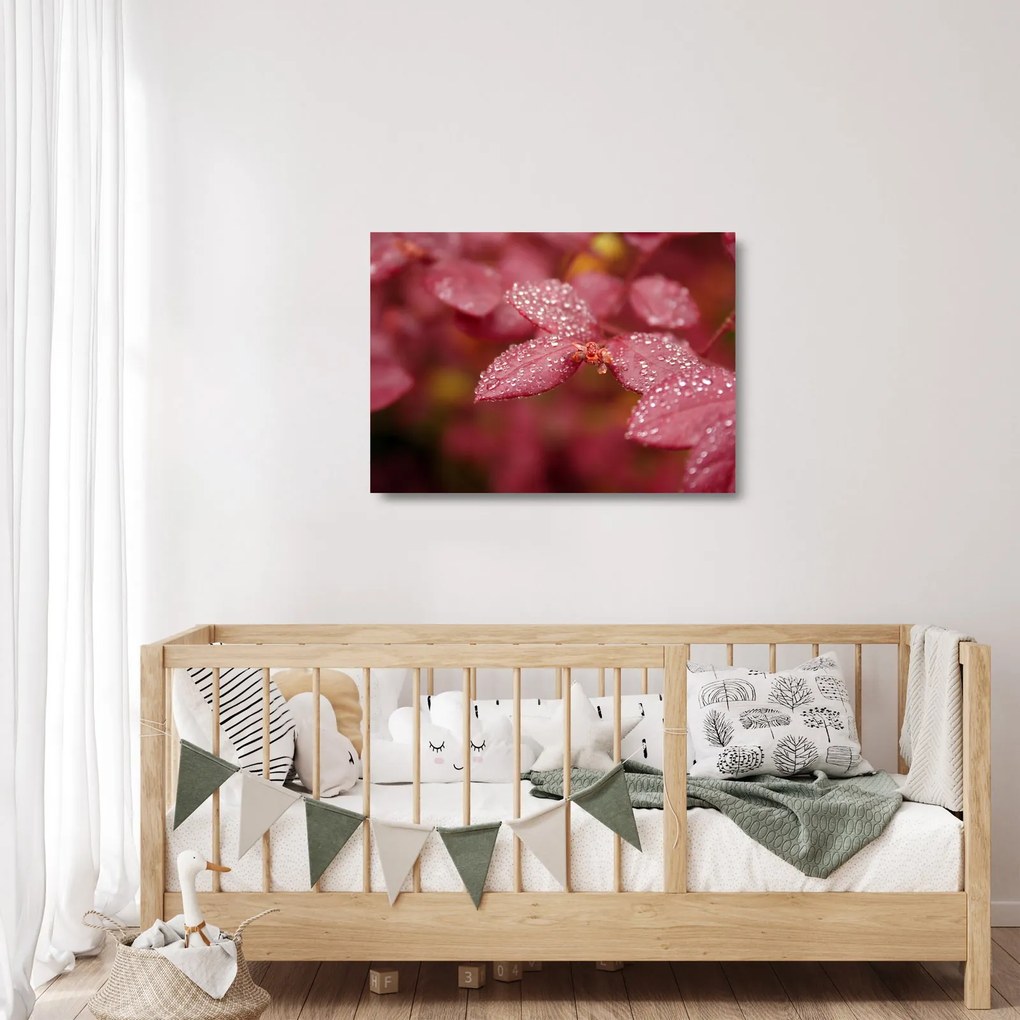Sklenený obraz - Makro snímka lístka (70x50 cm)