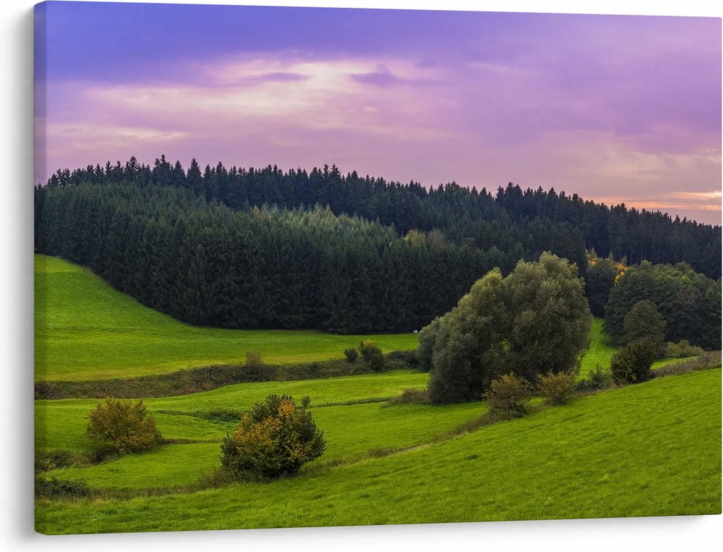 Obraz lúky (70x50 cm)
