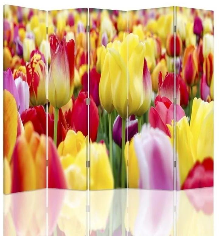 Ozdobný paraván, Pestrobarevné tulipány - 180x170 cm, päťdielny, obojstranný paraván 360°