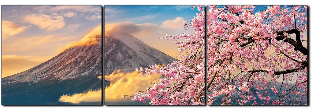 Obraz na plátne - Hora Fuji a čerešňové kvety na jar - panoráma 5266B (150x50 cm)