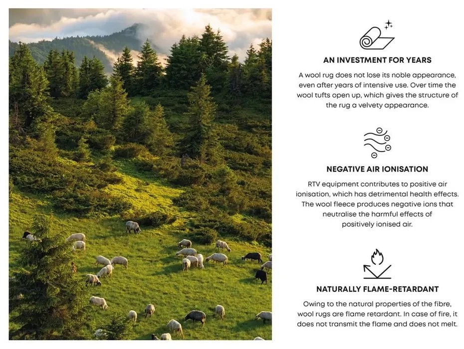 Biely vlnený koberec 170x240 cm Masi – Agnella