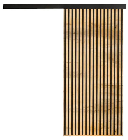 Posuvné dvere BELMA - dub sonoma/čierna / 100