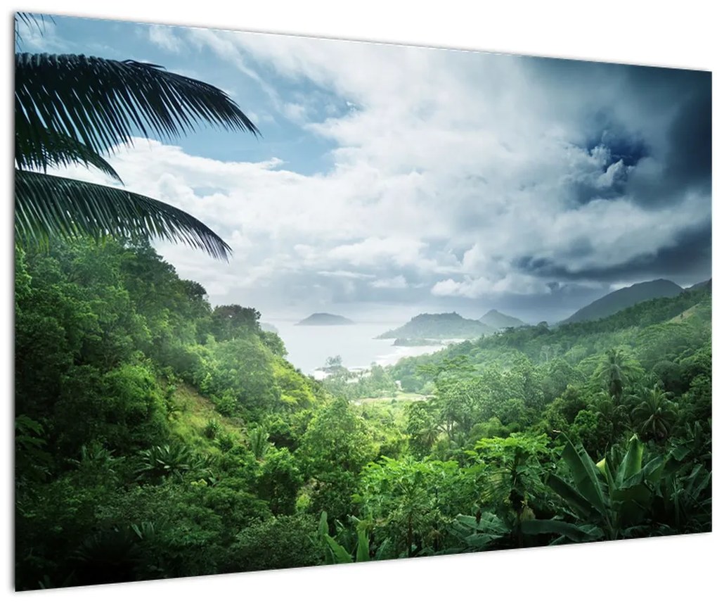 Obraz - Seychelská jungle (90x60 cm)