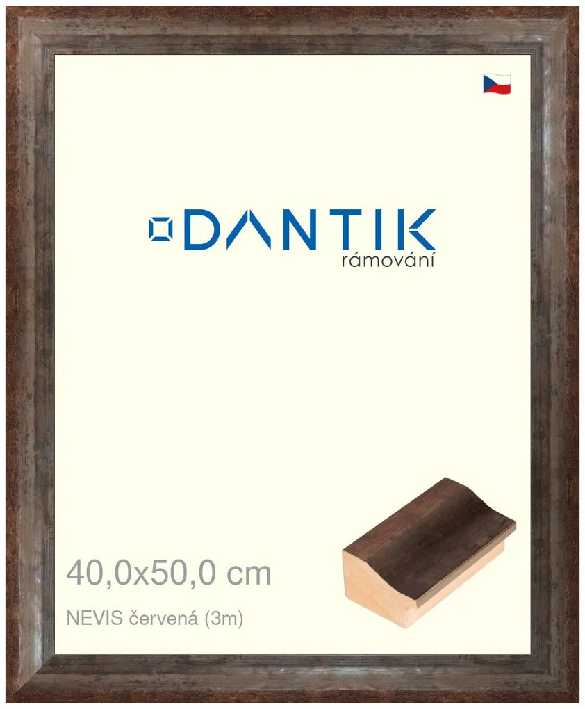 DANTIK rám na obraz 40x50 | NEVIS červená (Plexi Čiré)