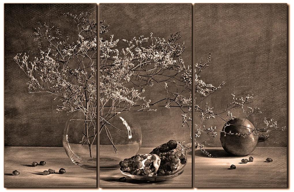 Obraz na plátne - Zátišie - vetva a granátové jablko 1274FB (105x70 cm)