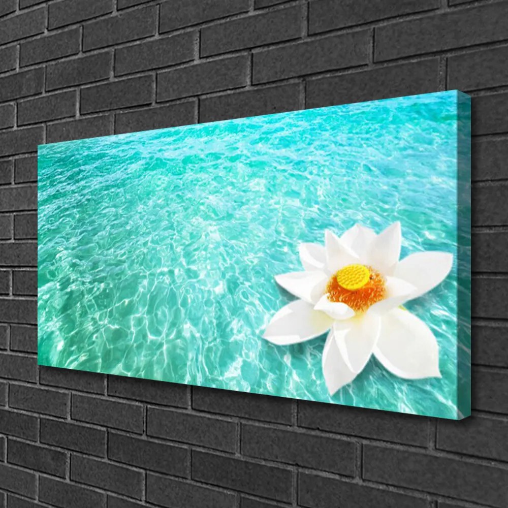 Obraz Canvas Voda kvet umenie 120x60 cm