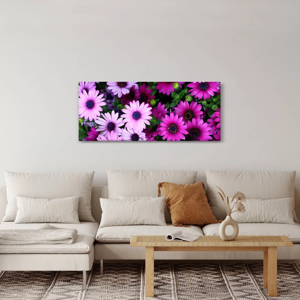 Obraz - Kvety (120x50 cm)
