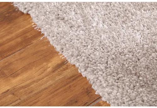 Dekoratívny koberec Shaggy Wellness 200 x 300 cm tmavosivý