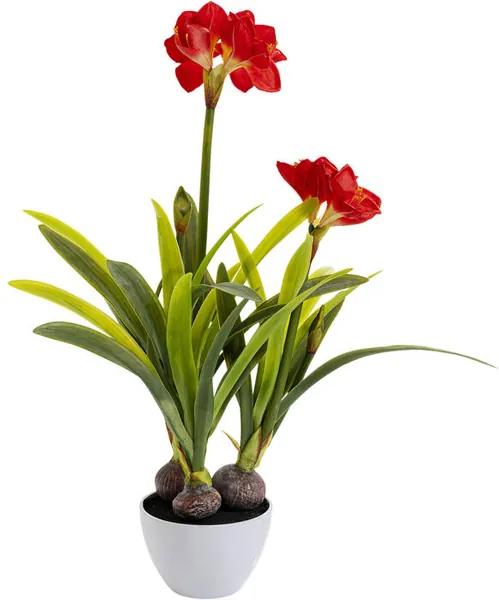 Amaryllis dekoratívna rastlina červená 98 cm | BIANO