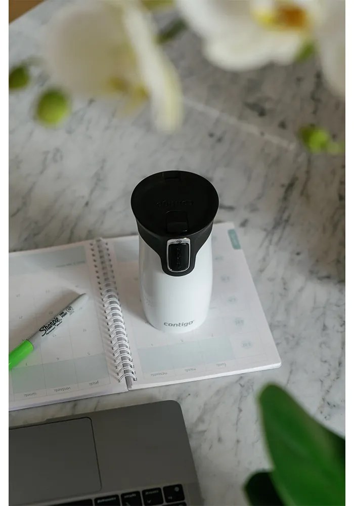 Contigo Termo fľaša West Loop Mini 300 ml Salt