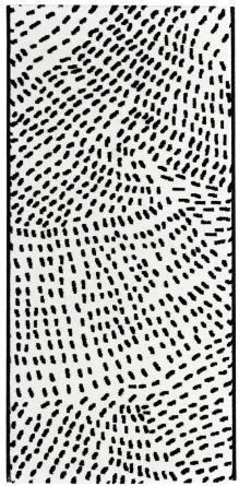 Koberce Breno Kusový koberec INK 463 007/AF100, viacfarebná,135 x 200 cm