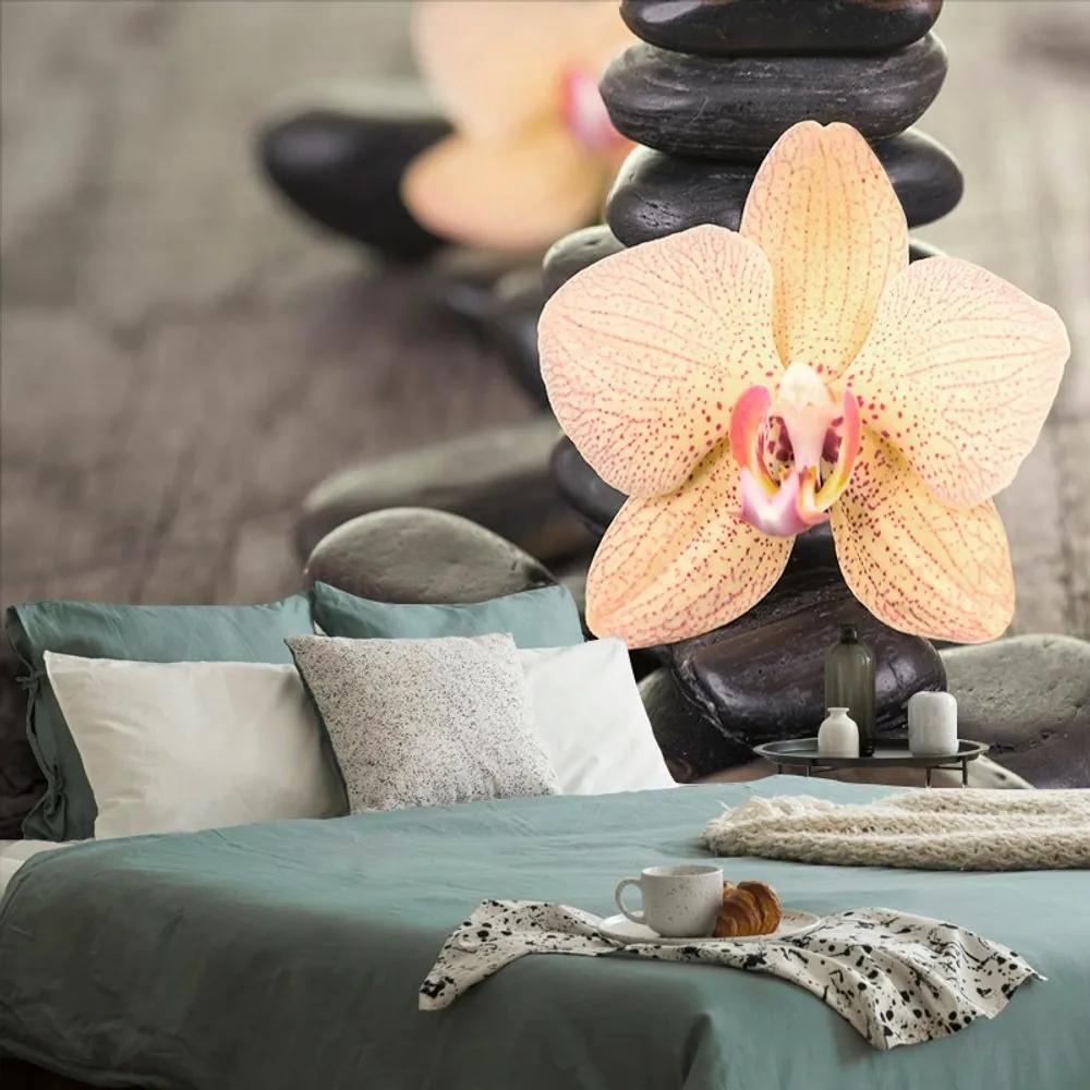 Fototapeta orchidea a Zen kamene - 150x100