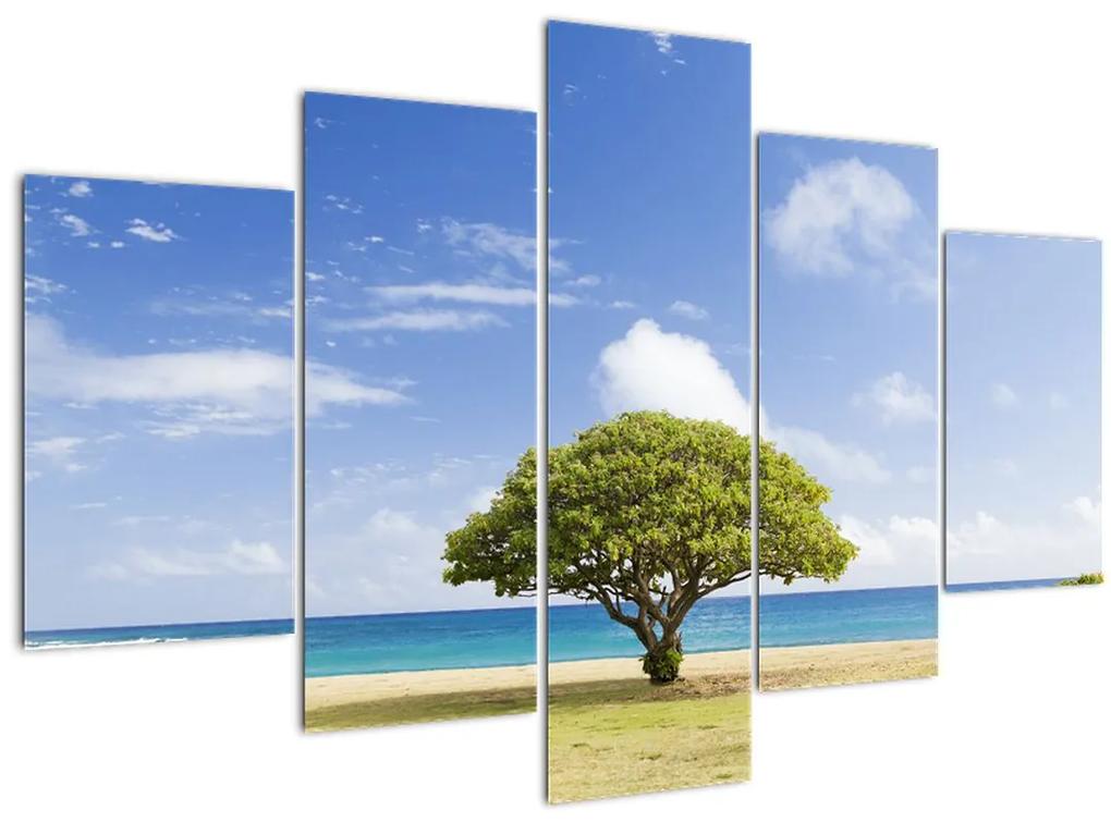 Obraz pláže so stromom (150x105 cm)