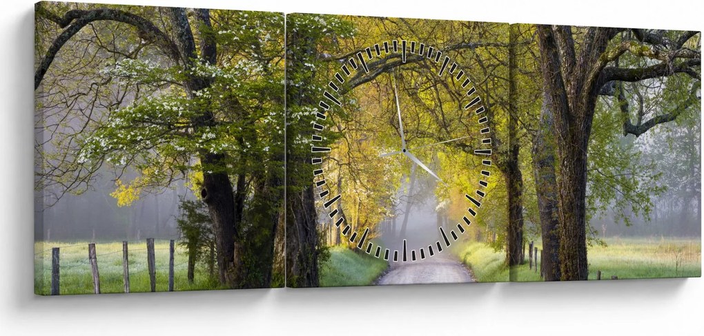 Obraz - Smoky Mountains, Gatlinburg, USA (s hodinami) (90x30 cm)