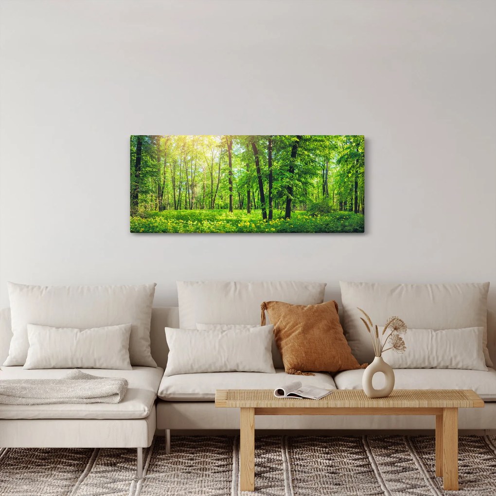 Obraz - Jarný listnatý les (120x50 cm)