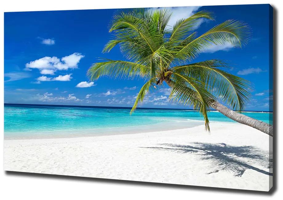 Foto obraz na plátne Tropická pláž pl-oc-100x70-f-158283371