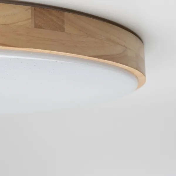 Brilagi - LED stmievateľné stropné svietidlo PINE LED/60W/230V + diaľkové ovládanie