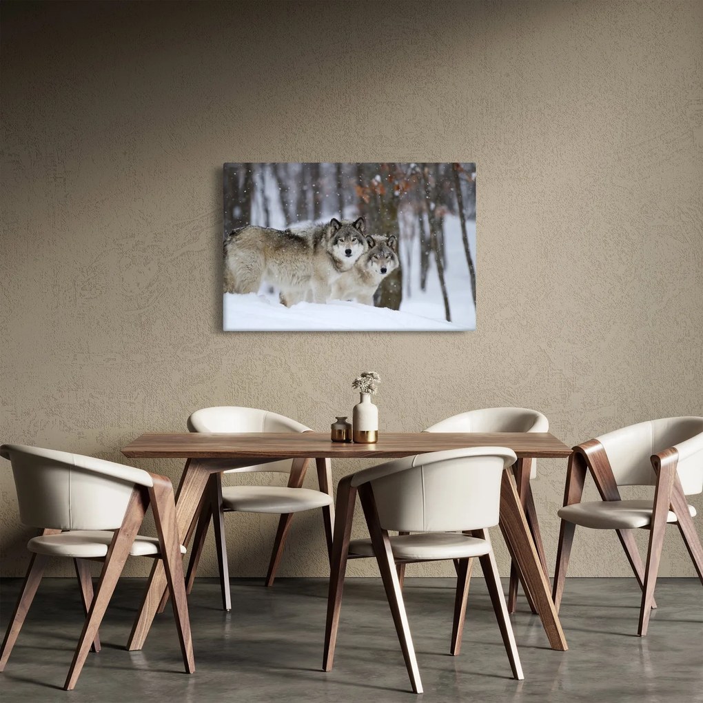 Obraz - Vlci v zime (90x60 cm)