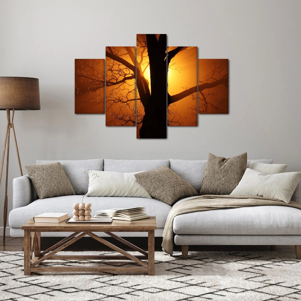 Obraz stromu pri západe slnka (150x105 cm)