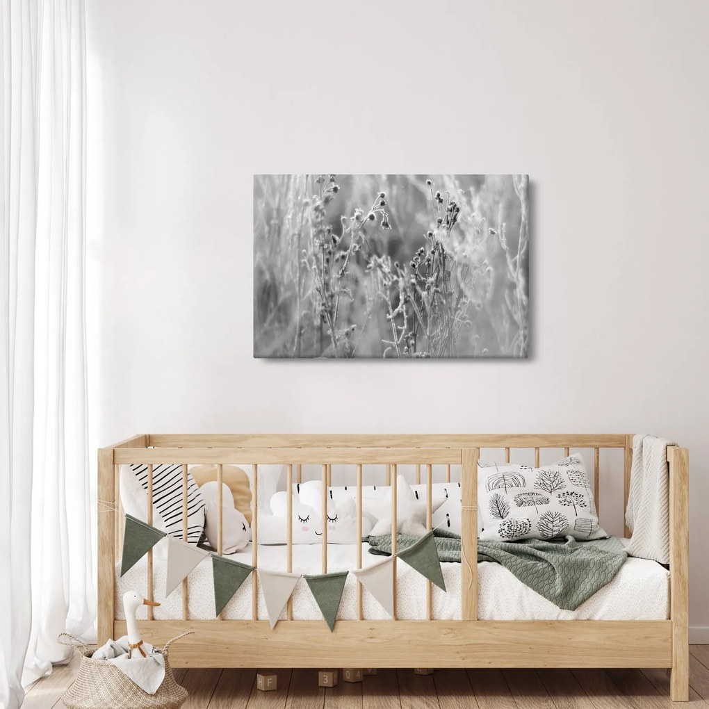 Obraz - Divoká lúka (90x60 cm)