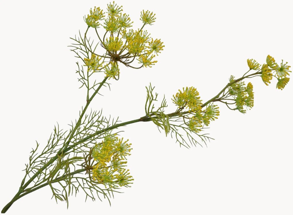 Rastlinné dekorácie Queen Anne's Lace, 2 ks