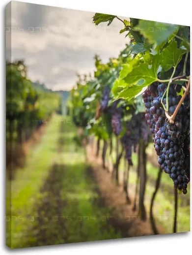 Obraz na stenu HROZNO_091-12