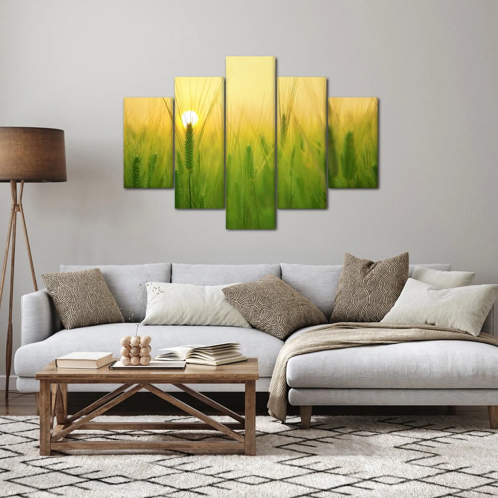 Obraz - Pole s obilím (150x105 cm)