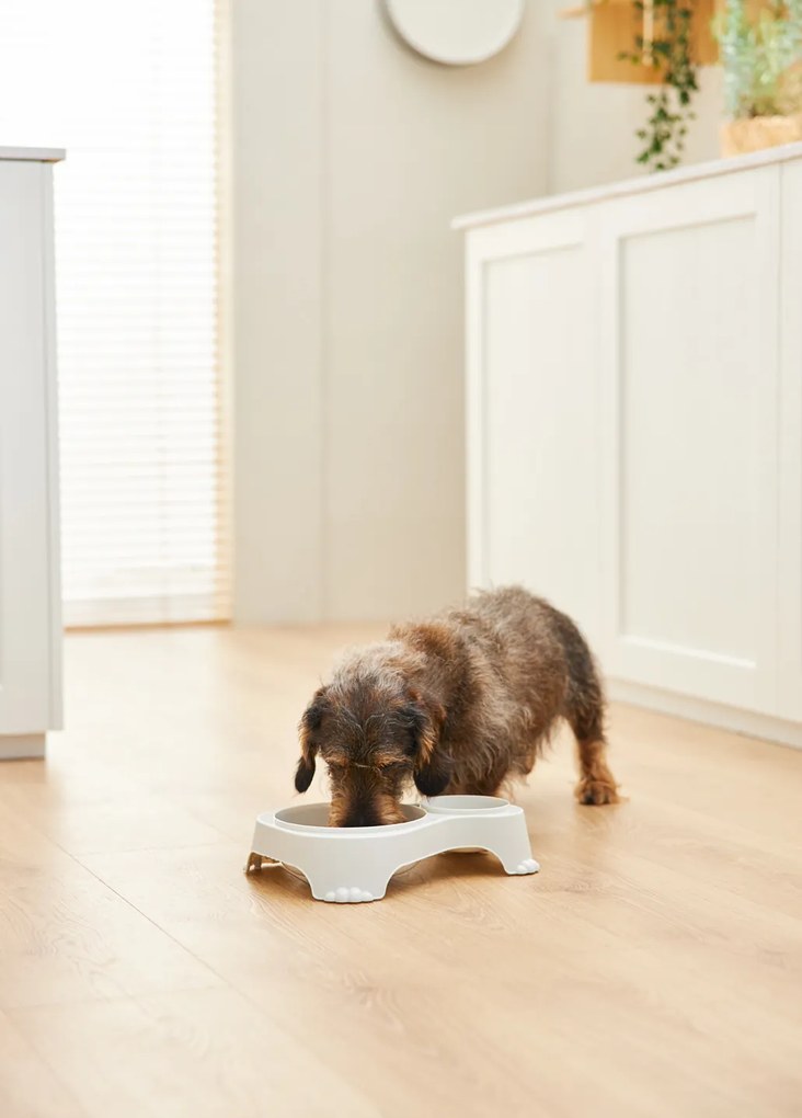 Rotho Miska na krmivo a vodu pre psov a mačky, dvojitá s vekom, SALLY - krémová