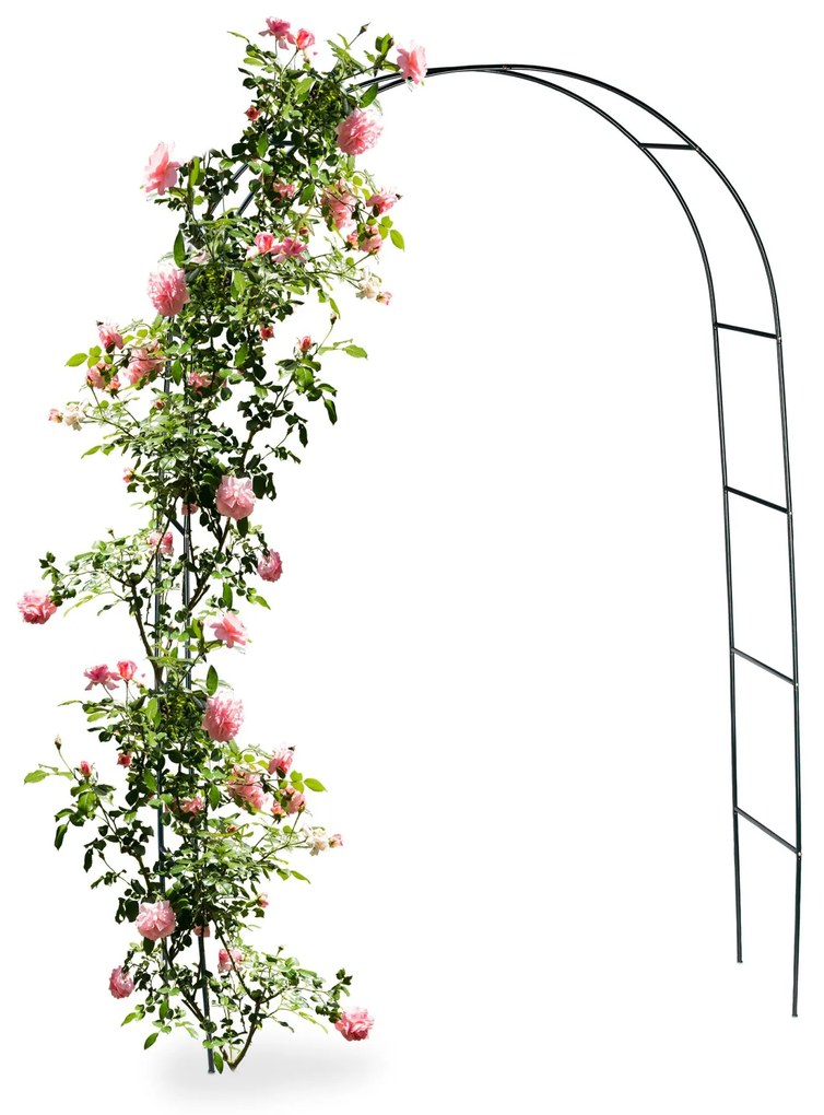 Podpera pre popínavé rastliny, RD10020